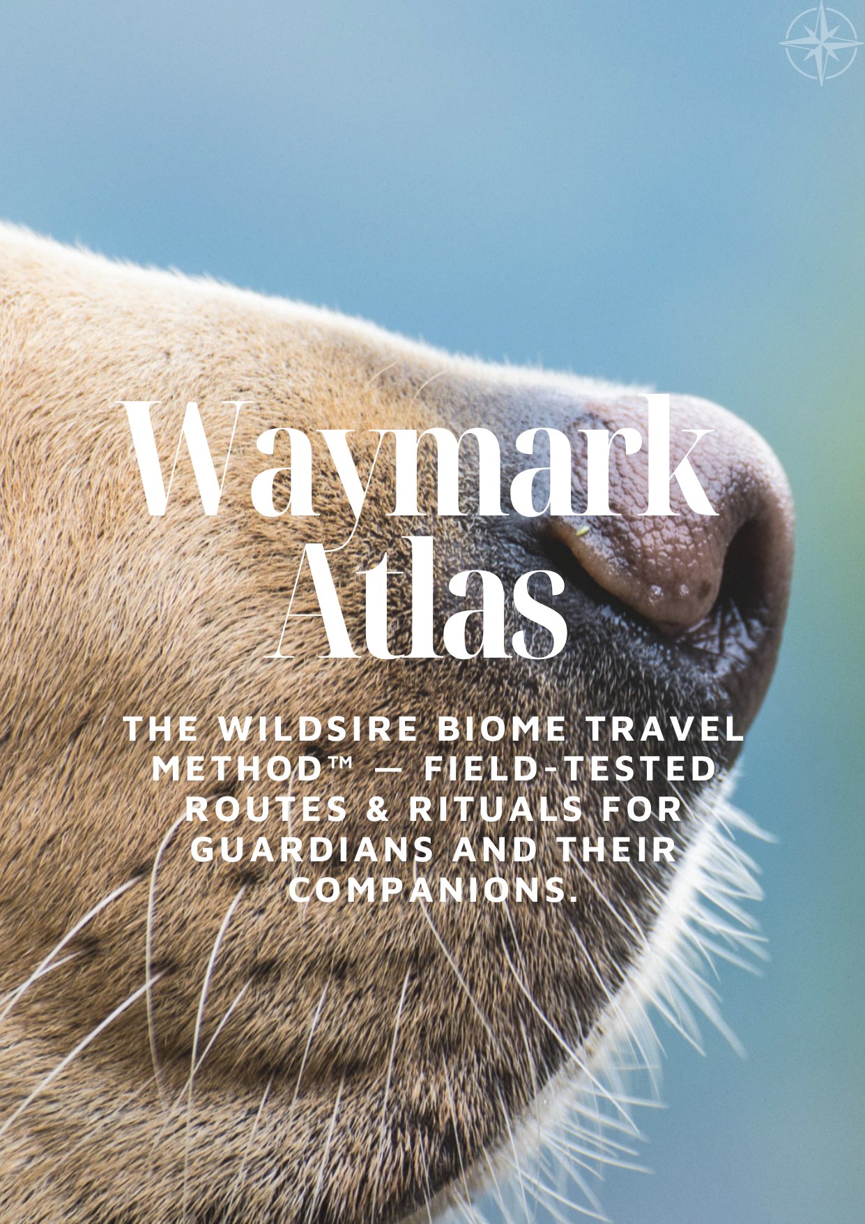 Atlas preview — Cover